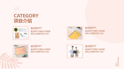 简约欧美风粉色工作汇报计划书PPT