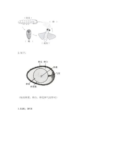 教科版科学三年级下册期末测试卷精品（夺冠系列）.docx