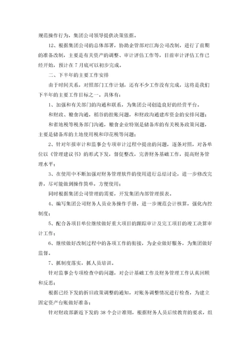 公司审计财务工作总结.docx