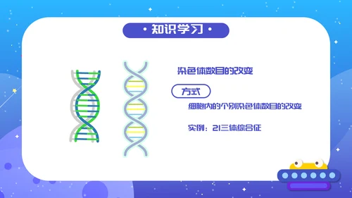 人教版生物《染色体变异》PPT课件