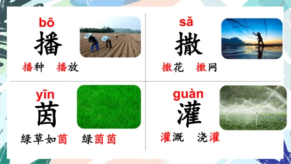 21.青蛙卖泥塘（第一课时）教学课件