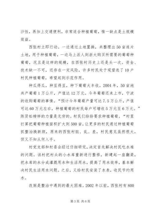 村党员先进事迹.docx