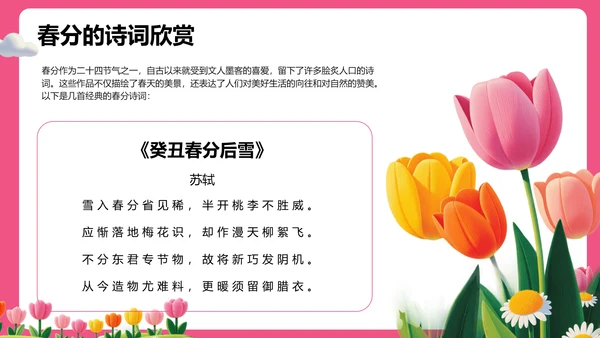 粉色插画风春分节气文化科普 PPT模板