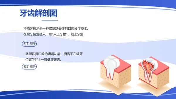 蓝色简约医疗牙科工作汇报计划PPT