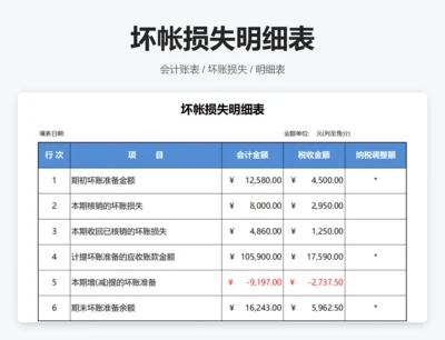 坏账损失明细表