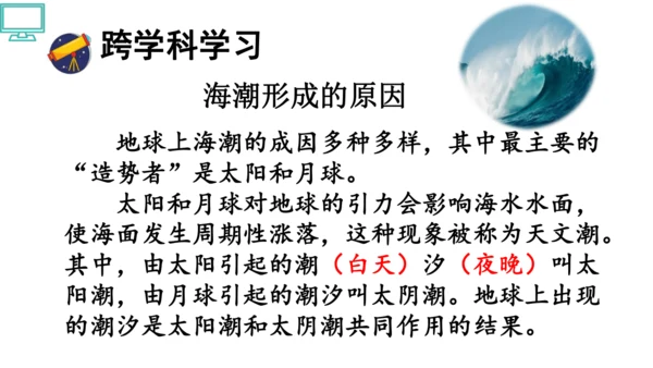 1 观潮 第一二课时    课件
