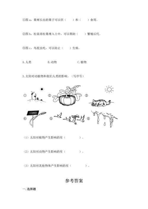 教科版二年级上册科学期末测试卷【巩固】.docx