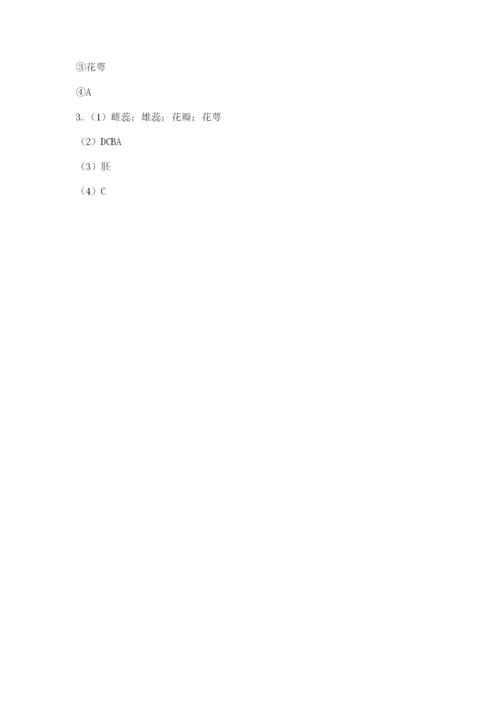科学四年级下册第一单元植物的生长变化测试卷及完整答案（典优）.docx