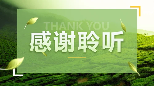 绿色实景茶园茶道科普介绍PPT模板