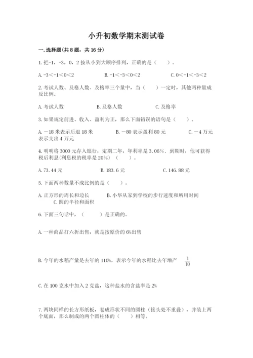 小升初数学期末测试卷新版.docx