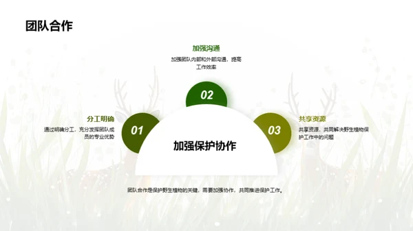 守护绿色精灵