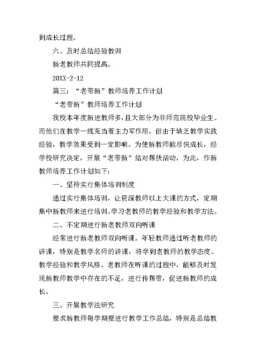 教师老带新工作计划