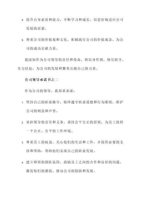 服从公司领导承诺书