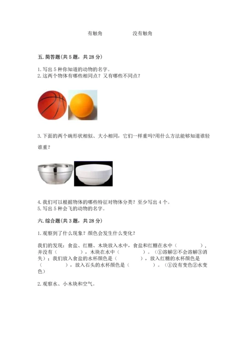 教科版一年级下册科学期末测试卷及参考答案（研优卷）.docx