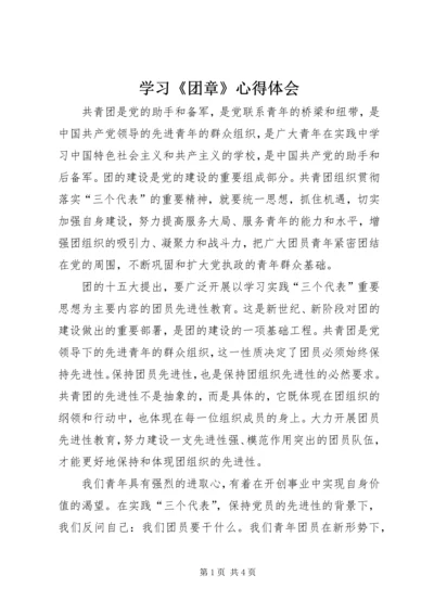 学习《团章》心得体会.docx