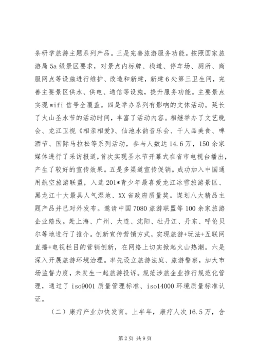 管委会201X年上半年工作总结暨下半年工作安排.docx