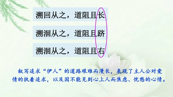 第12课《诗经二首》课件(共51张PPT)