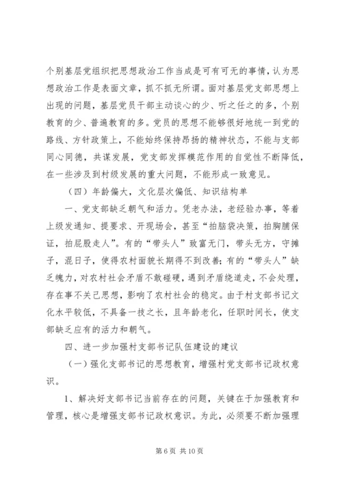 梨园乡关于农村党支部书记队伍建设情况调研汇报.docx