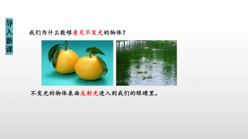 八年级物理上册（人教版） 4.2光的反射（课件）26页ppt