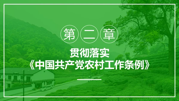 学习解读中国共产党农村工作条例PPT模板