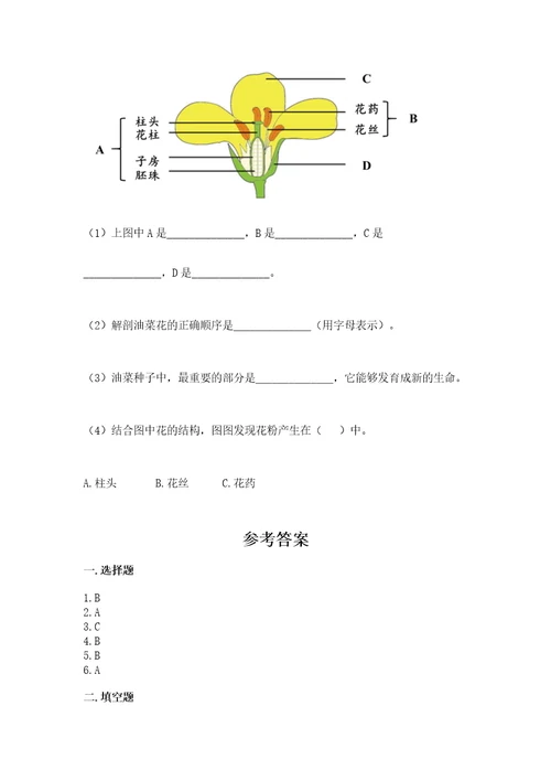 教科版科学四年级下册第一单元《植物的生长变化》测试卷（综合卷）