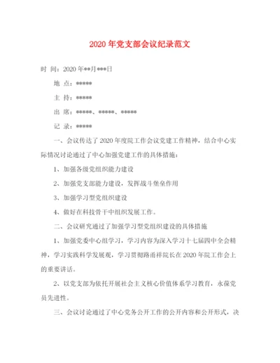 精编之年党支部会议纪录范文.docx