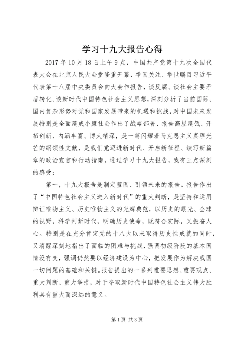 学习十九大报告心得 (11).docx