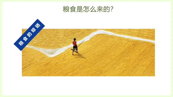 拒绝浪费中小学生节约粮食主题班会PPT模板