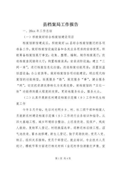 县档案局工作报告 (6).docx