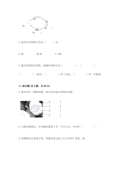 教科版小学科学三年级下册 期末测试卷附参考答案【达标题】.docx