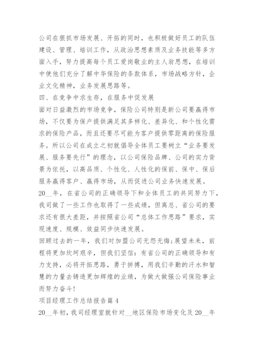 项目经理工作总结报告.docx