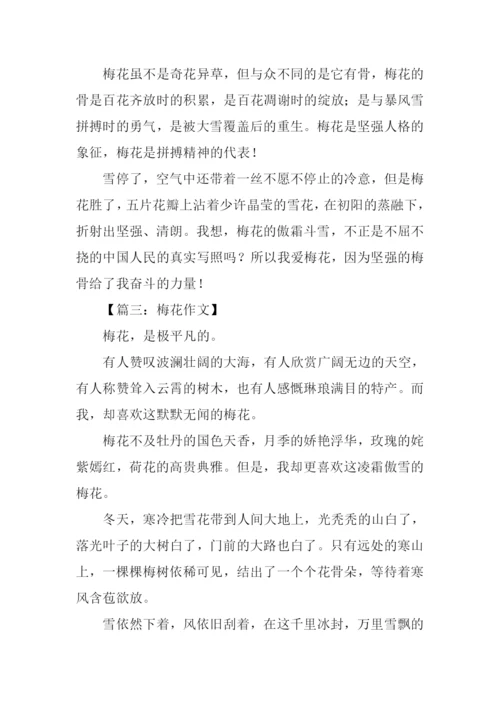 梅花的作文600字.docx