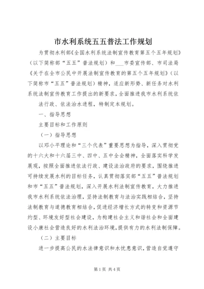 市水利系统五五普法工作规划 (3).docx