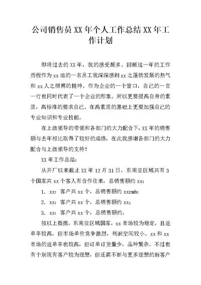 公司销售员XX年个人工作总结XX年工作计划