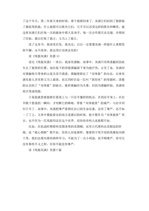 读《残狼灰满》有感十篇.docx