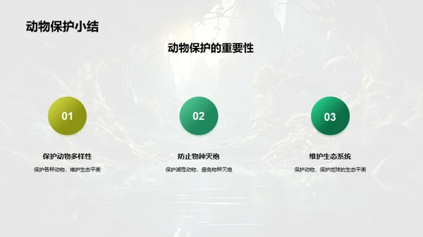 探秘动物世界