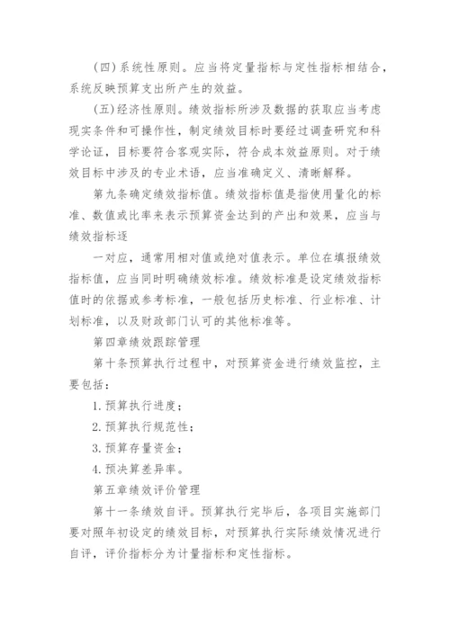 预算绩效管理制度.docx