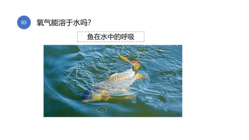 2.2氧气课件(共38张PPT内嵌视频)-九年级化学人教版（2024）上册