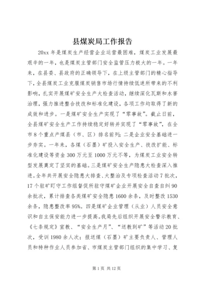 县煤炭局工作报告.docx