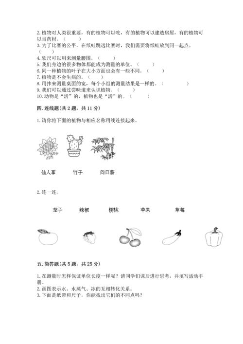 教科版一年级上册科学期末测试卷（b卷）.docx