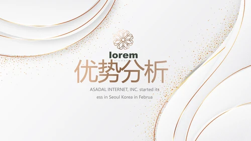 公司品牌策划方案工作总结计划PPT