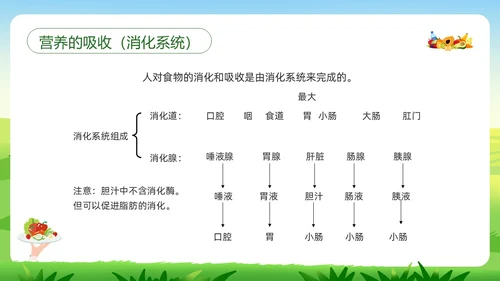 绿色插画合理营养与食品安全PPT模板宣传PPT动态PPT全民营养周