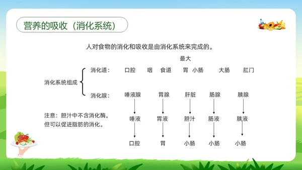 绿色插画合理营养与食品安全PPT模板宣传PPT动态PPT全民营养周