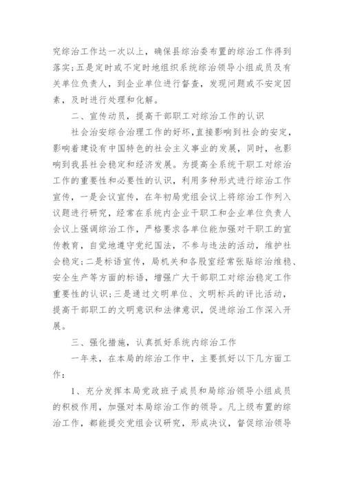 综治工作述职报告.docx