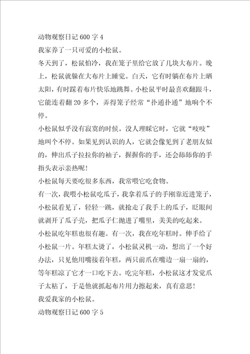 动物观察日记600字作文5篇