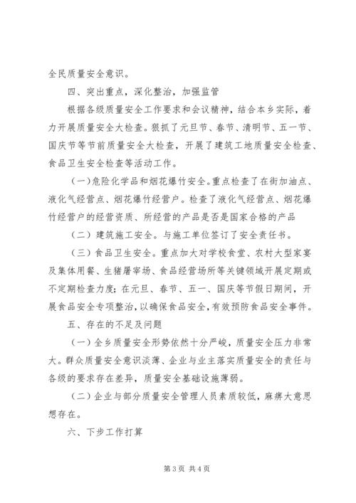 乡镇年度质量安全工作总结.docx