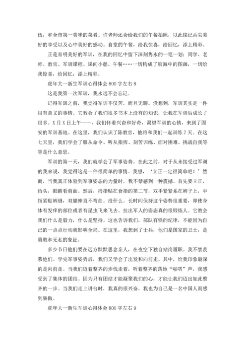 虎年大一新生军训心得体会800字左右.docx