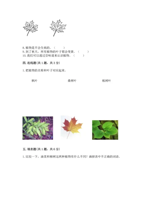 教科版小学一年级上册科学期末测试卷及完整答案（夺冠系列）.docx