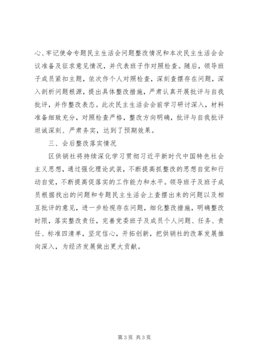 供销社专题民主生活会工作报告.docx