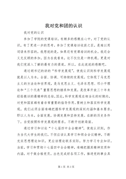 我对党和团的认识 (5).docx